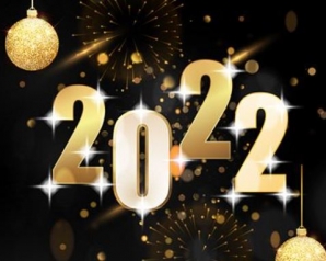 Gott Nytt År 2022 alla Wikingar!