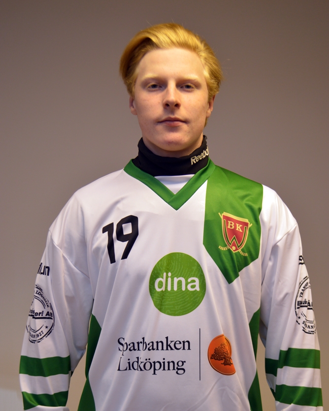 Hugo Andersson